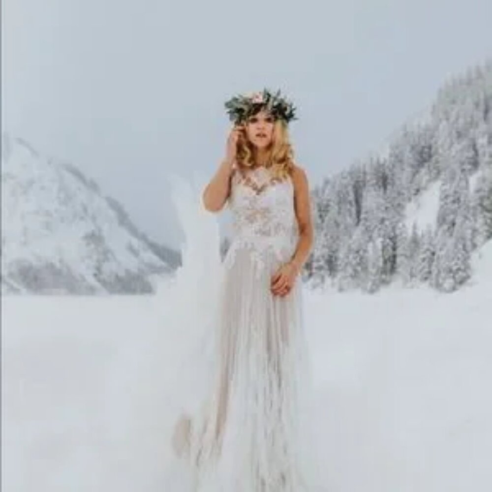 Pronovias Draconia Wedding Dress - Picture 9 of 13